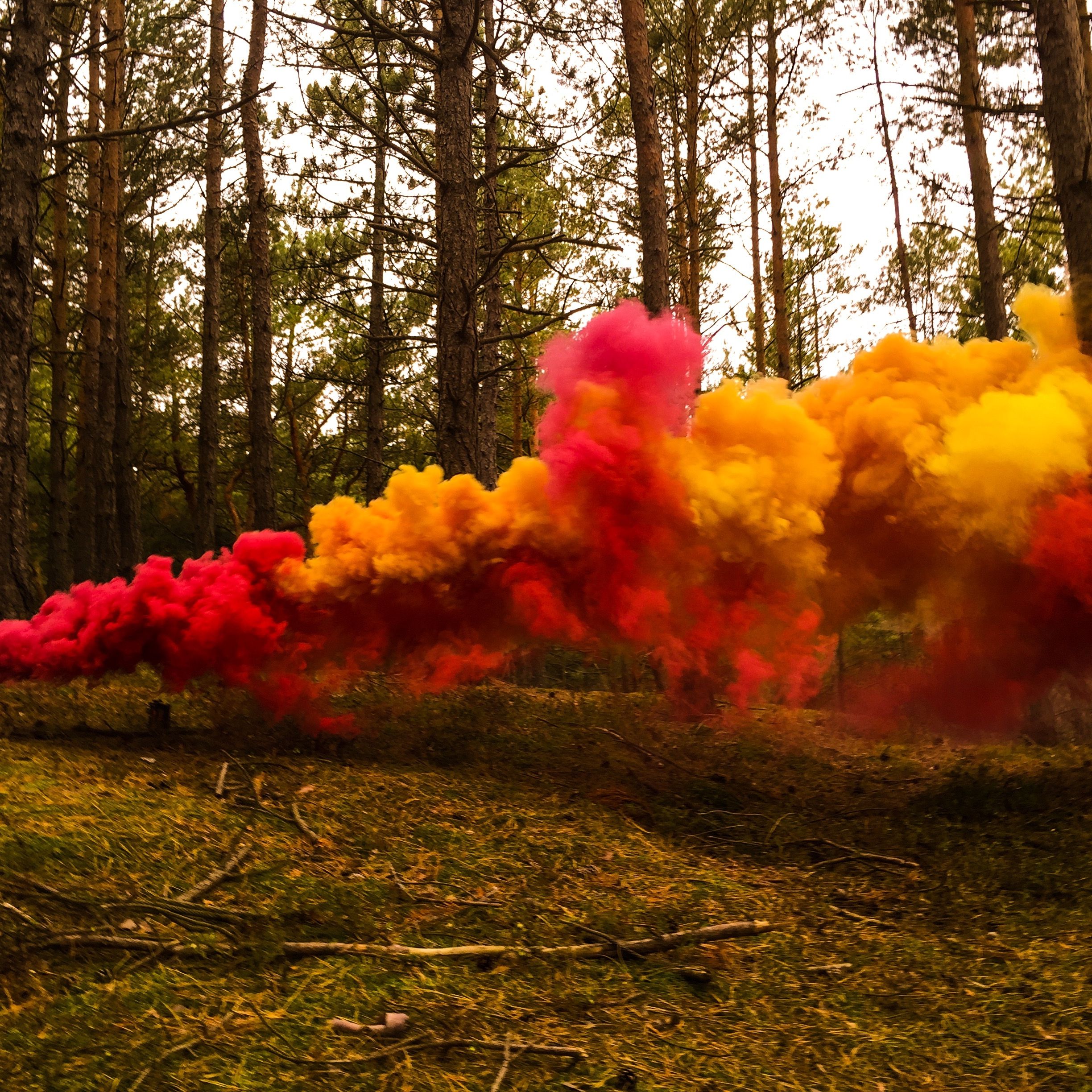 Color Smoke Bomb – WHOLESALE 10+