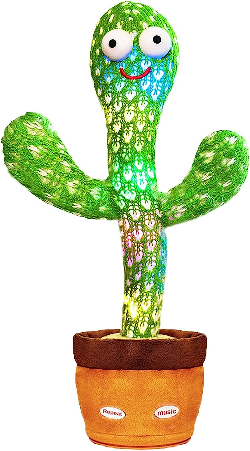 Dancing Cactus