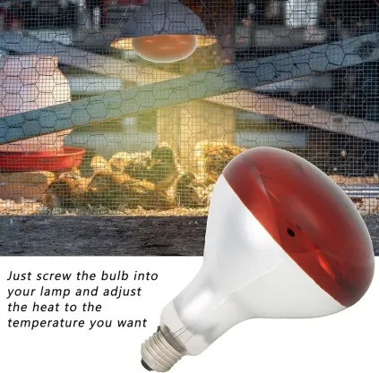 Animalamp Infrared Bulb
