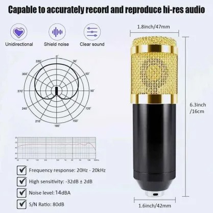 Pro Recording & Broadcasting Microphone