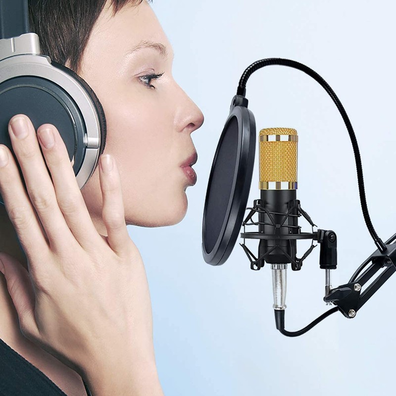 Pro Recording & Broadcasting Microphone - Image 4