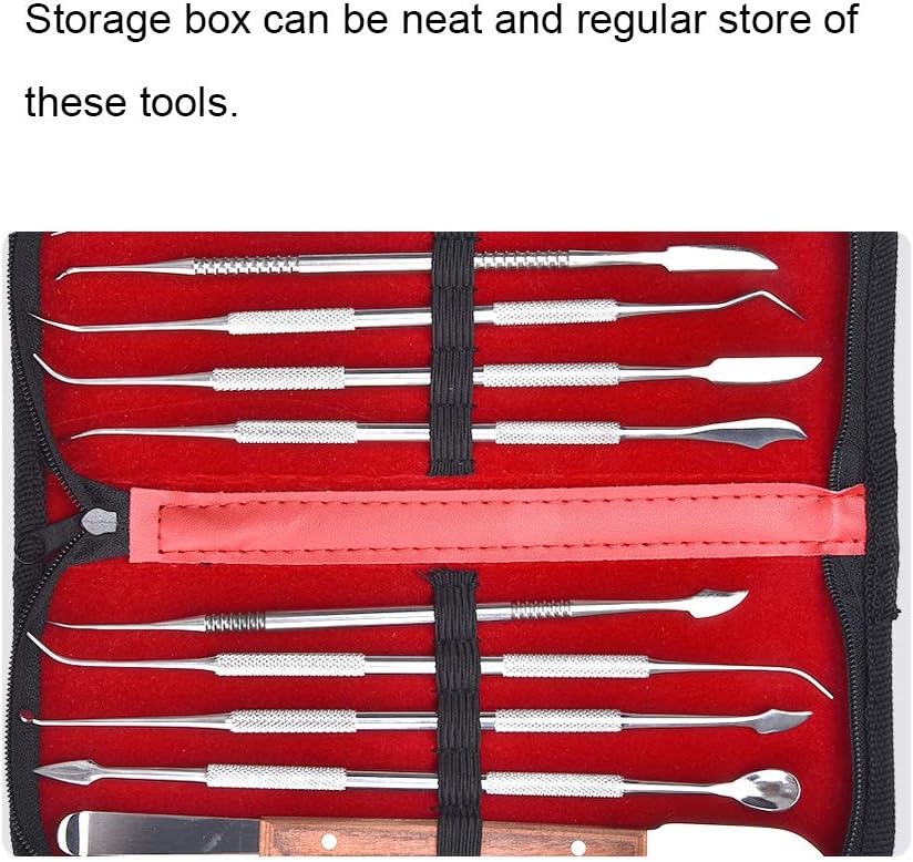 10 Piece Stainless Steel Dental Tool Kit - Image 4