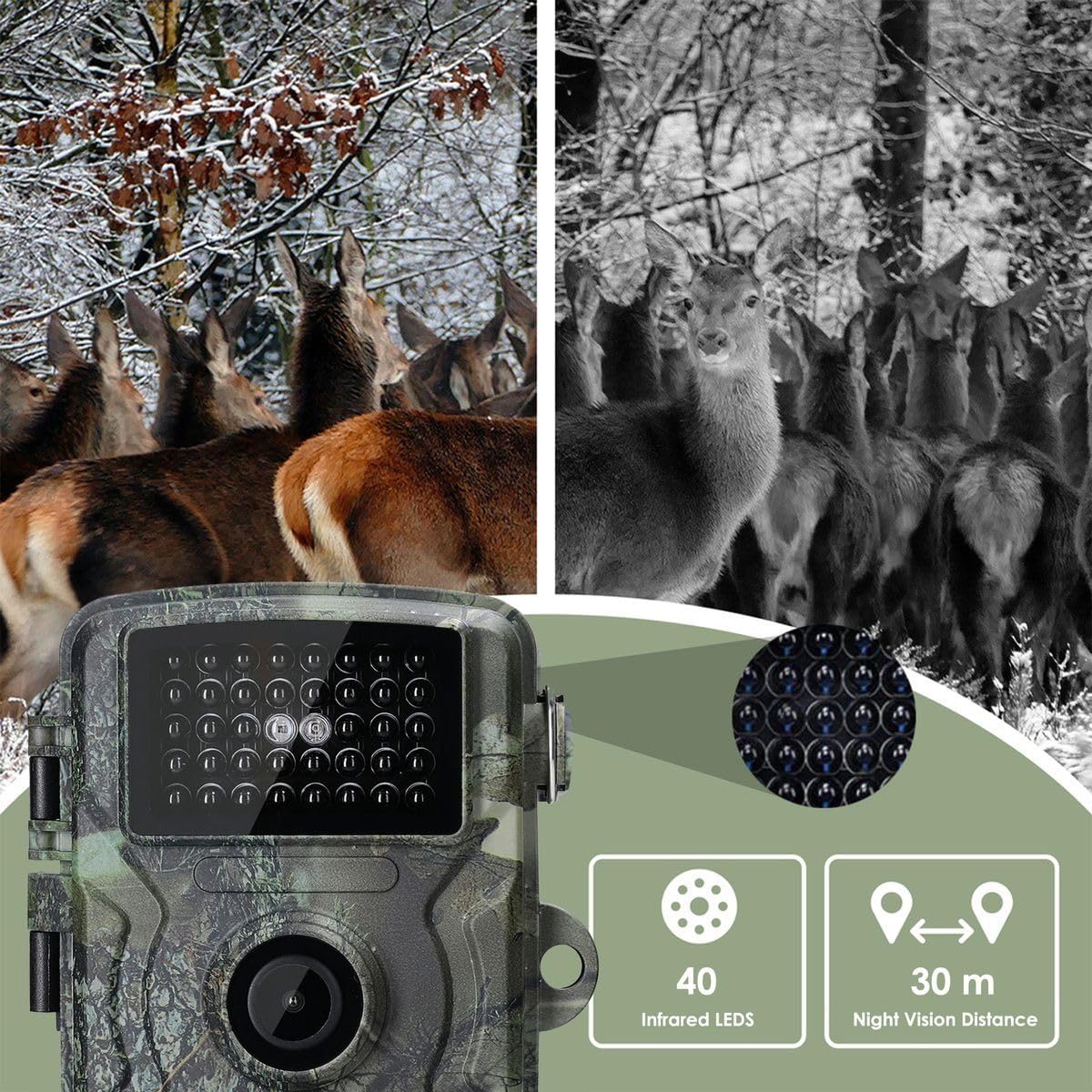 Outdoor Trail Camera - Image 4